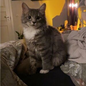 Meet your Posher, Maddie